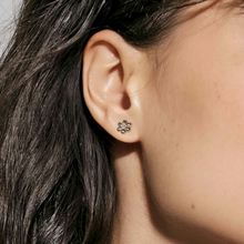 Load image into Gallery viewer, PETIT SPARKLE STUDS 242304/012 GOLD FLOWER WITH CZ