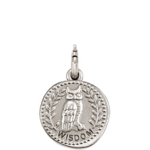 Load image into Gallery viewer, WISHES PENDANT CHARM 147303/016 WISDOM