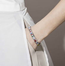 Load image into Gallery viewer, COMPOSABLE CLASSIC LINK 330207/08 DENMARK IN ENAMEL & 925 SILVER