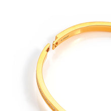 Load image into Gallery viewer, PRETTY BANGLES 029505/06/005 STAINLESS STEEL WITH RAINBOW CZ
