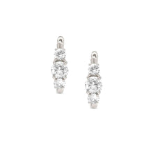 Load image into Gallery viewer, COLOUR WAVE EARRINGS 149823/001 STERLING SILVER &amp; WHITE CZ
