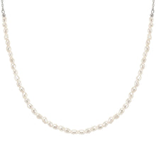 Load image into Gallery viewer, SIREN DREAM NECKLACE 243316/064 HALF PEARLS ON SILVER CHAIN
