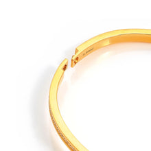 Load image into Gallery viewer, PRETTY BANGLES SATINSHINE 029528/001 SILVER WITH WHITE CZ
