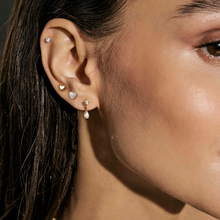 Load image into Gallery viewer, PRECIOUS MOVES EARRINGS 243215/004 SILVER MIXED STUDS CZ

