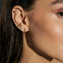 Load image into Gallery viewer, PRECIOUS MOVES EARRINGS 243216/055 GOLD MIXED STUDS CZ
