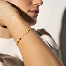 Load image into Gallery viewer, SIREN DREAM OPEN BANGLE 243305/010 SILVER &amp; WHITE CZ
