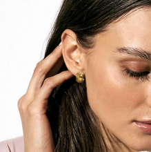 Load image into Gallery viewer, WEAR &amp; STYLE EARRINGS 134519/001 S/STEEL ROUNDED HOOP
