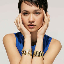 Load image into Gallery viewer, PRETTY BANGLES SATINSHINE 029534/35/36/001 WIDE SILVER PAVÉ WHITE CZ
