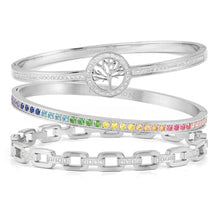 Load image into Gallery viewer, PRETTY BANGLES 029505/06/005 STAINLESS STEEL WITH RAINBOW CZ
