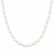 Load image into Gallery viewer, KATE FRESHWATER BAROQUE PEARL NECKLACE 148902/010
