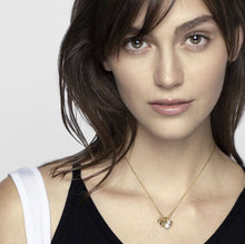 Load image into Gallery viewer, SOUL NECKLACE 149006/011 ROSE GOLD WITH CZ &amp; PEARL
